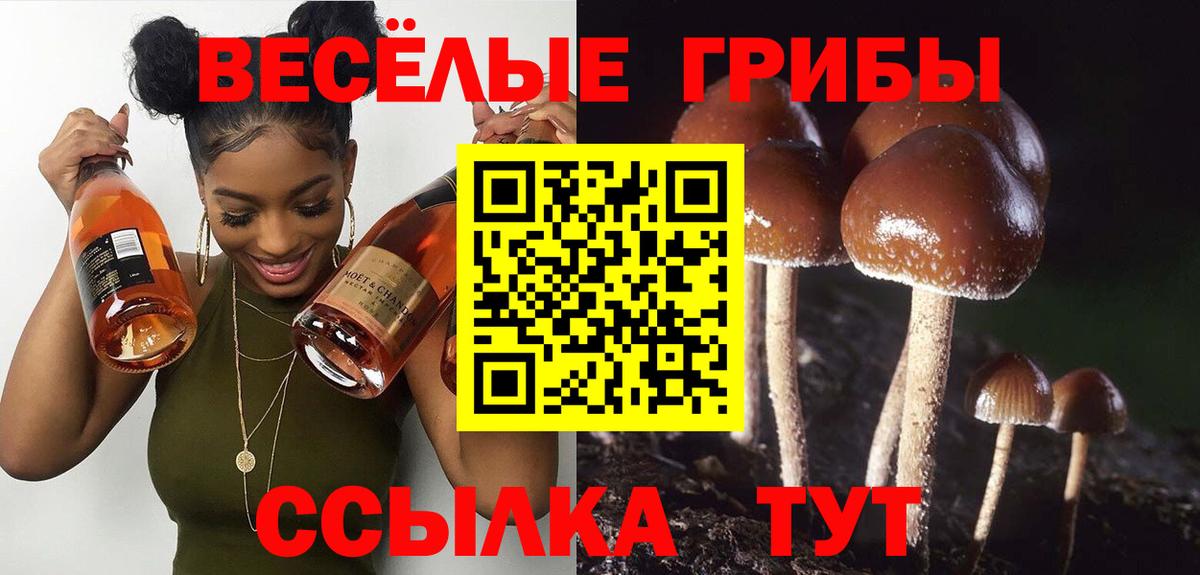 Бийск  Галлюциногенные грибы мухоморы  Вход с VPN 