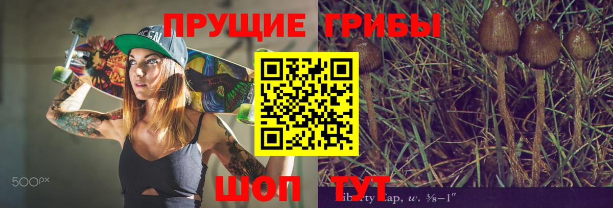 Псилоцибиновые грибы GOLDEN TEACHER Бийск